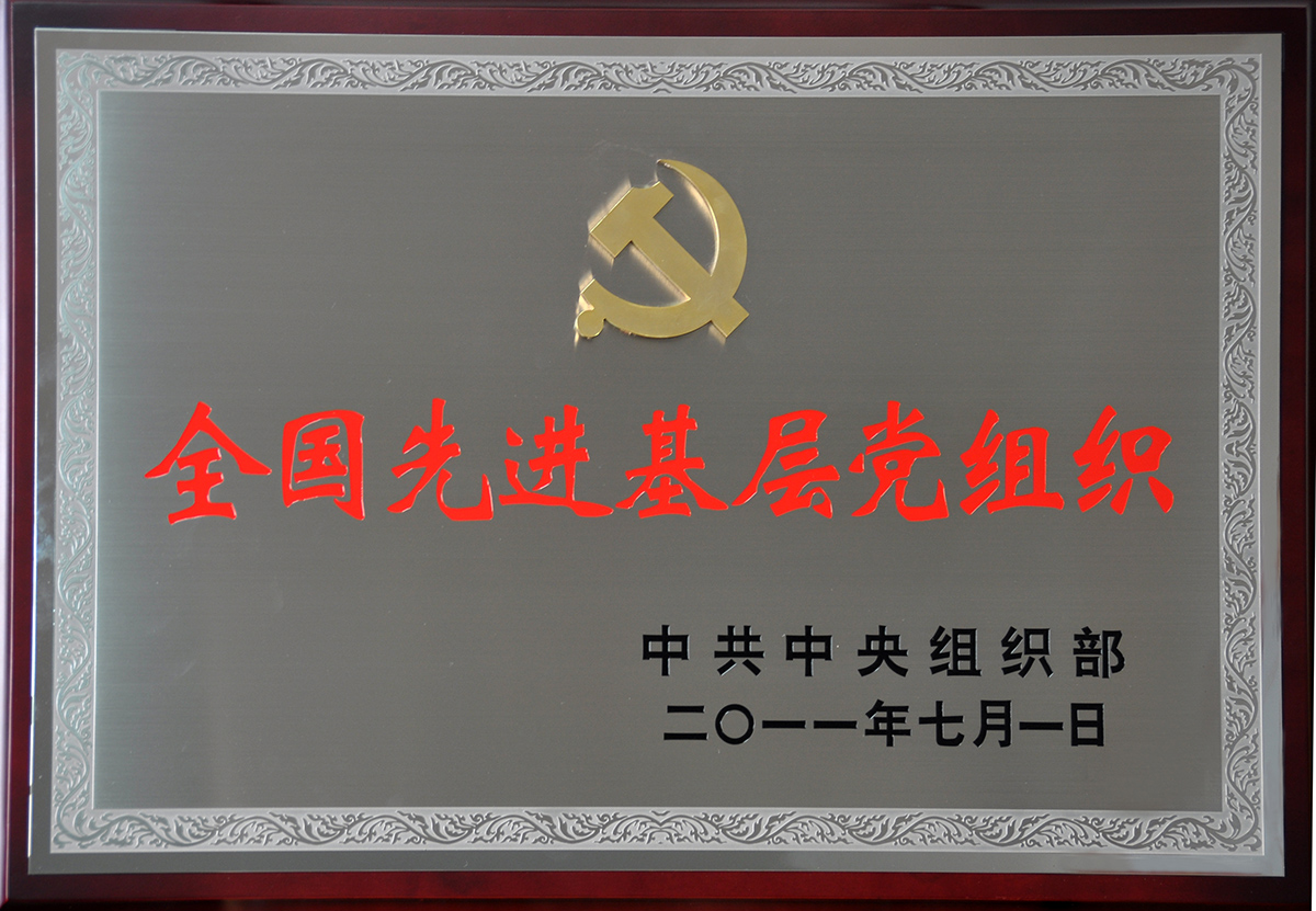 2011年7月，红豆集团党委荣获“全国先进基层党组织”称号