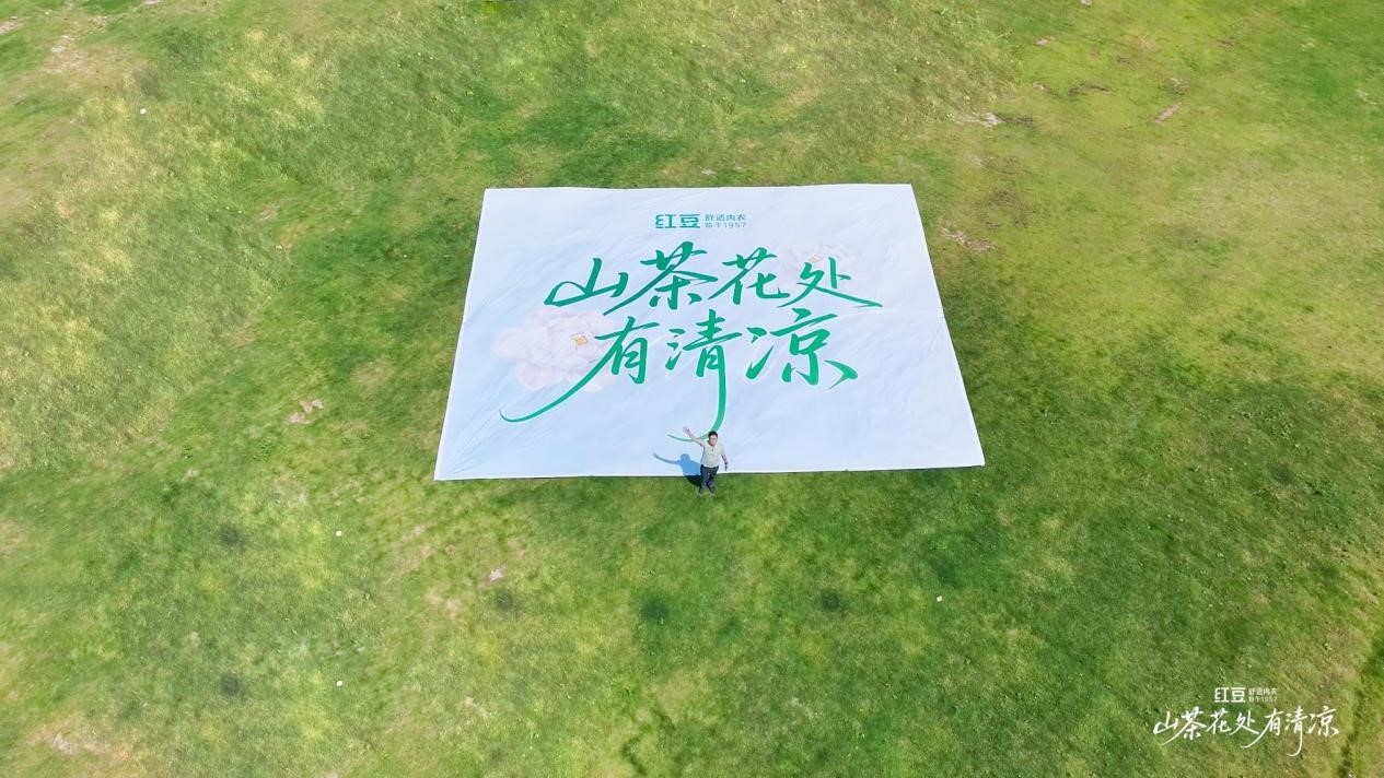 红豆棉山茶花1